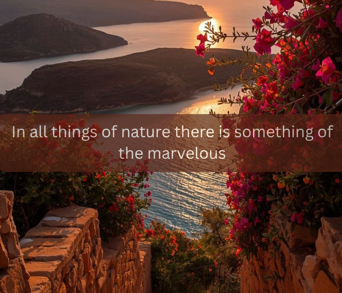 Aesthetic Nature Quotes