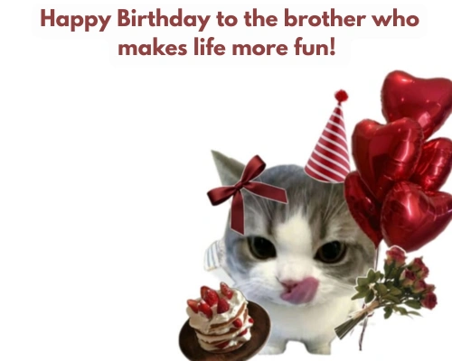Birthday Caption For Brother