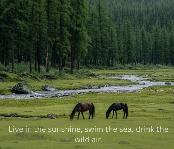 Nature Quotes In English