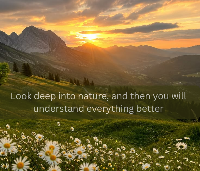 Nature Quotes